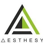 Aesthesy Onlinestore